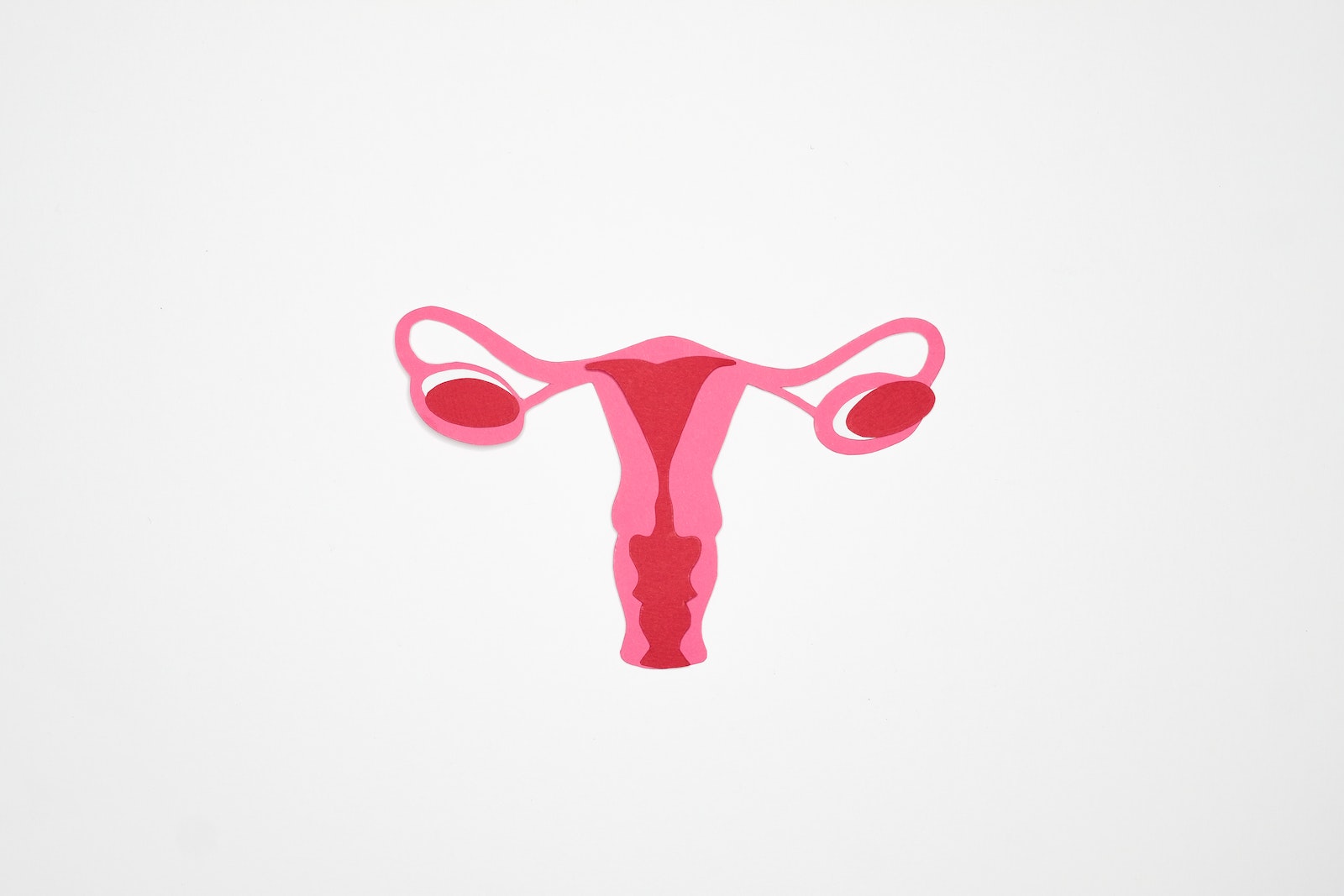 Graphic Art of a Woman's Ovary